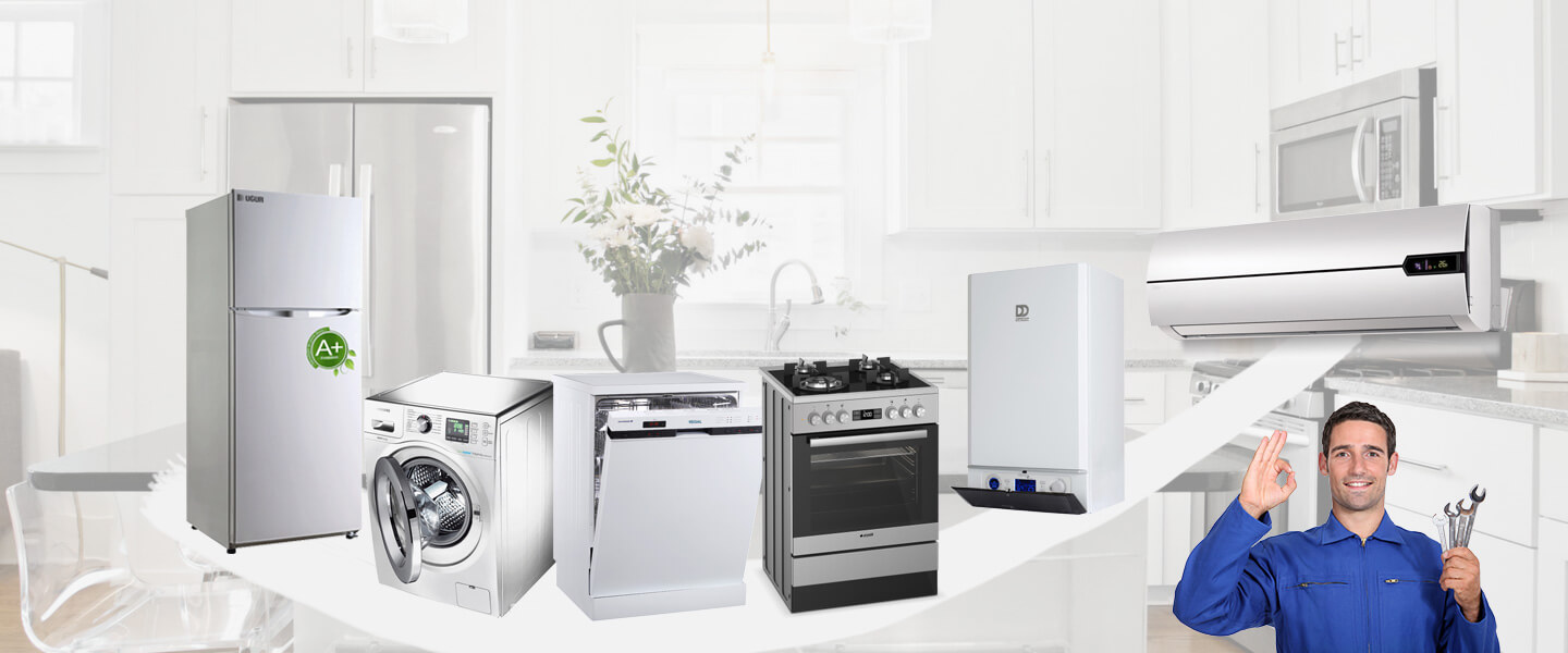 Altındağ Electrolux Servisi
